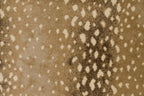073 Sand