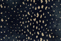 076 Blue