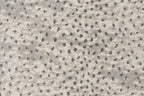 21 Graphite