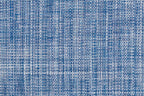 Filbert