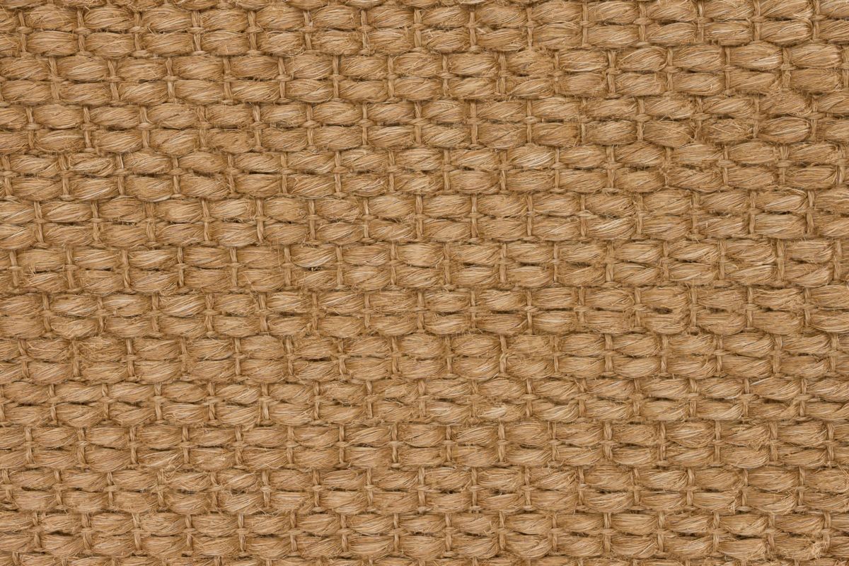 Cinnamon