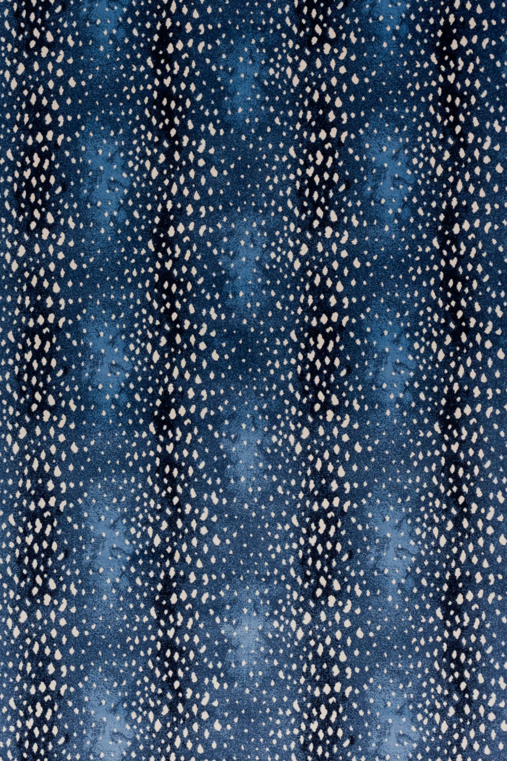 T01000737_ALT2