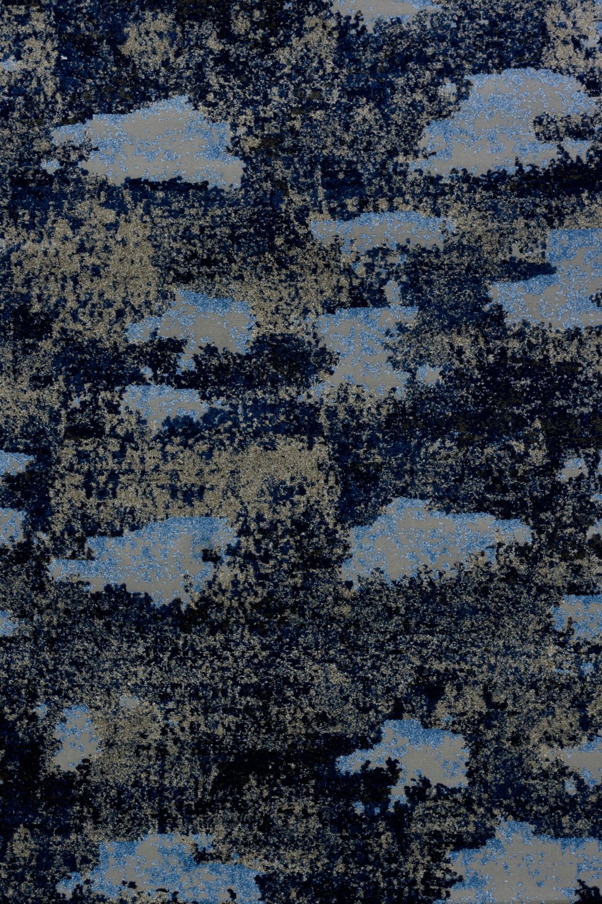 T01000895_ALT2