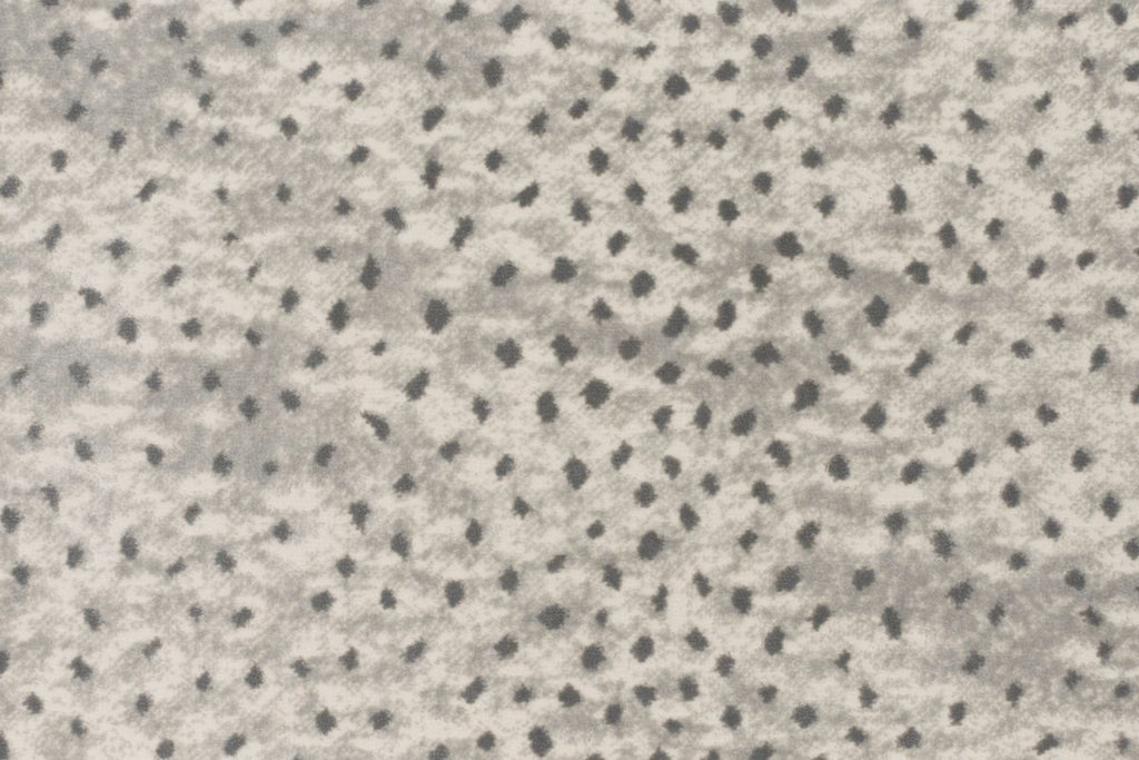 T01006616_CL