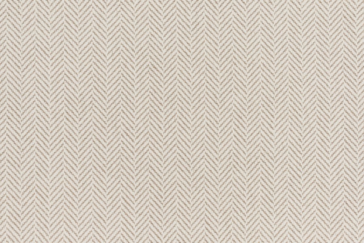 T01007841_CL