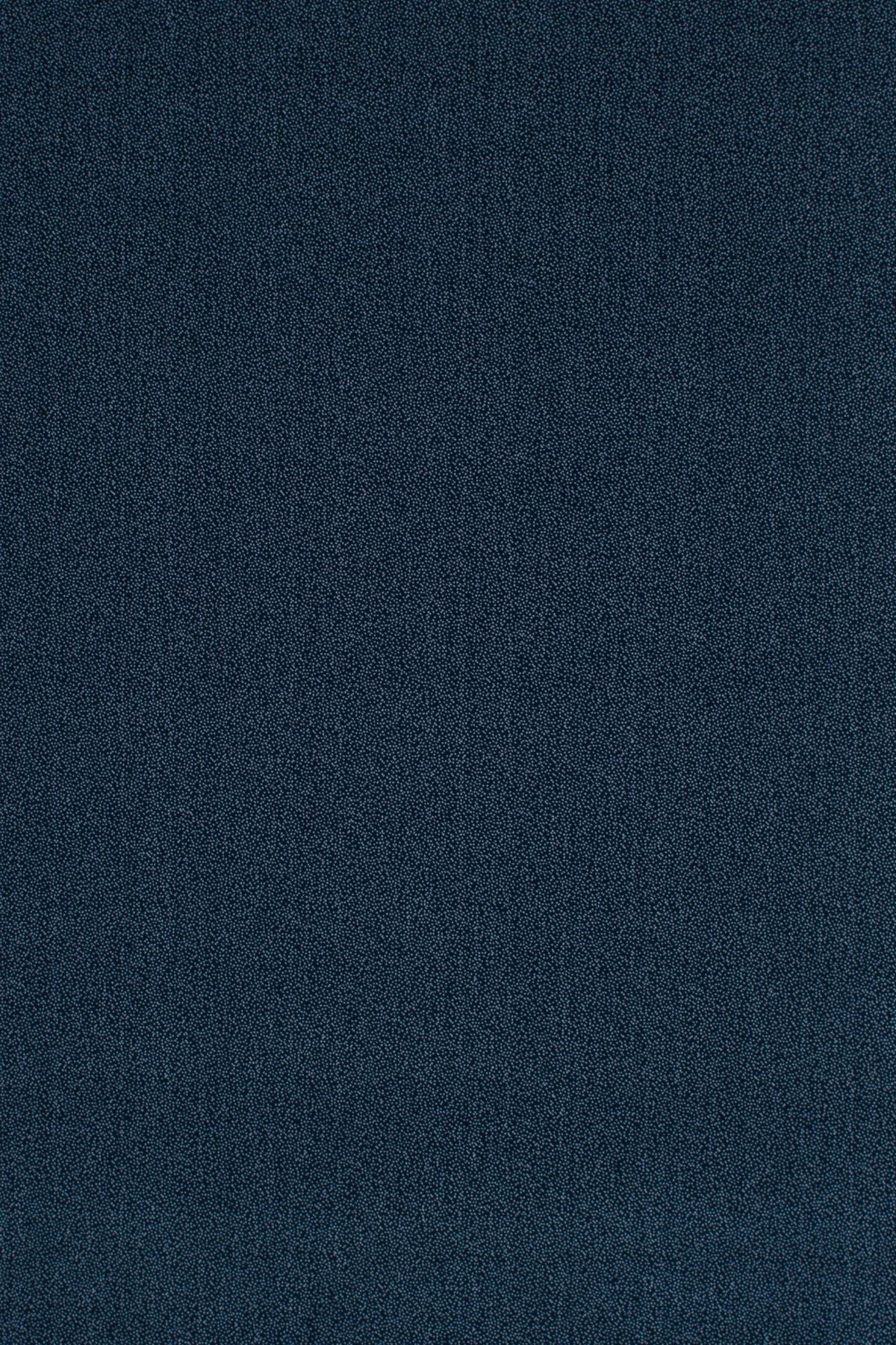 T01010723_ALT2
