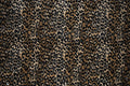 T01013564_SAMPLE