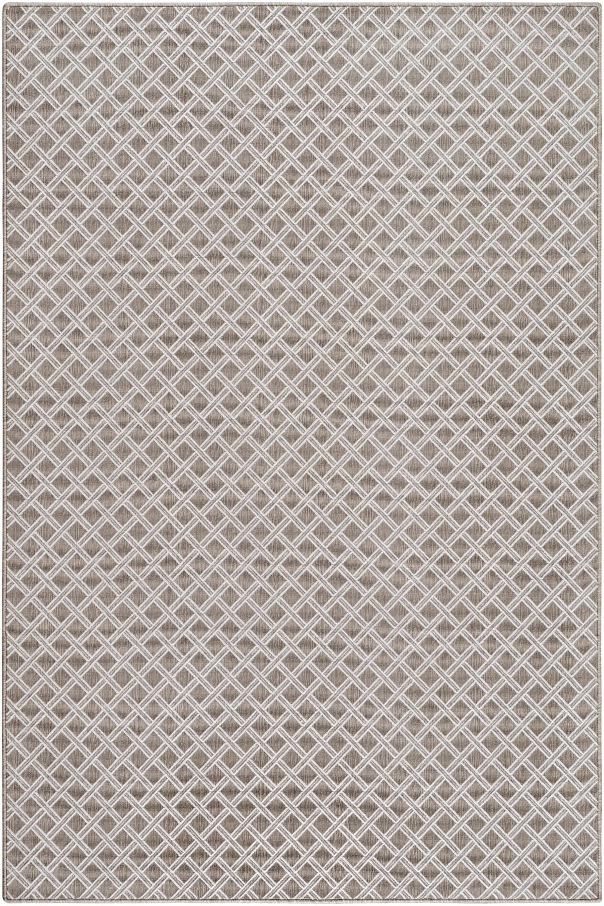 T01013979